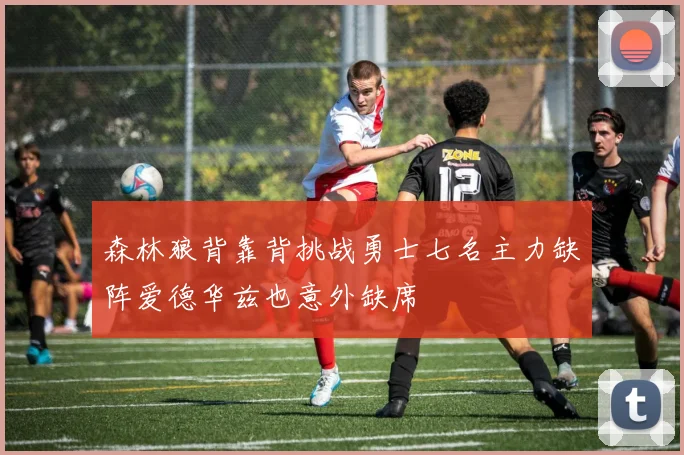 森林狼背靠背挑战勇士七名主力缺阵爱德华兹也意外缺席