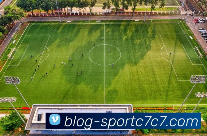 C7C7娱乐发展历程